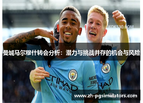 曼城马尔穆什转会分析：潜力与挑战并存的机会与风险