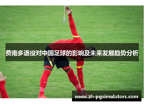 费南多退役对中国足球的影响及未来发展趋势分析