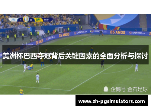 美洲杯巴西夺冠背后关键因素的全面分析与探讨