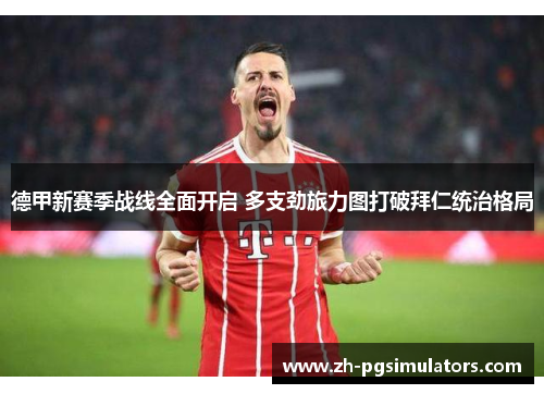 德甲新赛季战线全面开启 多支劲旅力图打破拜仁统治格局