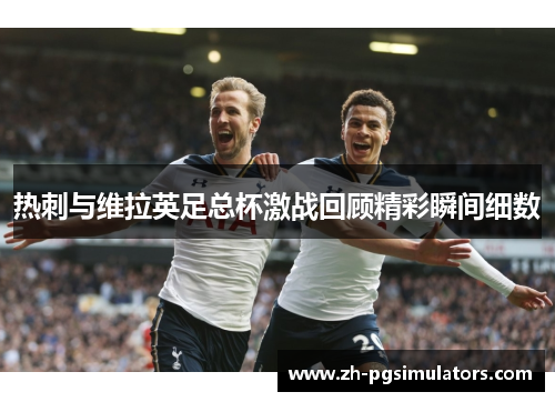 热刺与维拉英足总杯激战回顾精彩瞬间细数