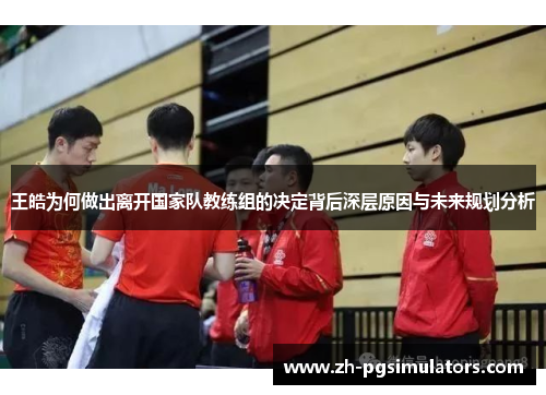 王皓为何做出离开国家队教练组的决定背后深层原因与未来规划分析