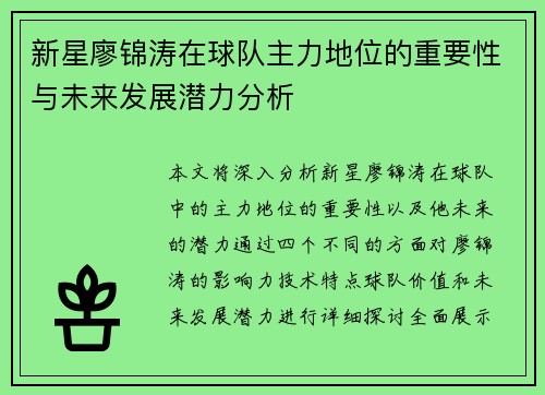 新星廖锦涛在球队主力地位的重要性与未来发展潜力分析